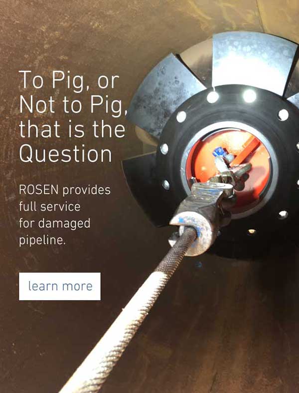 To Pig, or Not to Pig, that is the Question